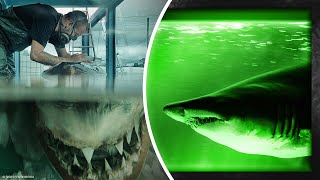 13 правдивых историй о кракенах и нападениях акул