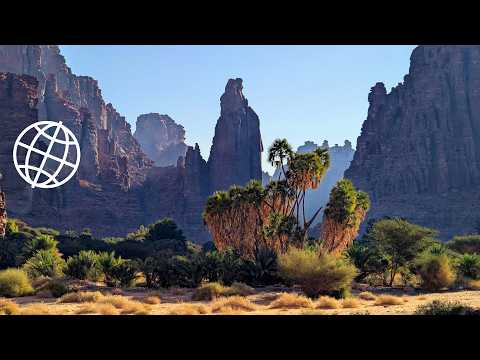 Wadi Al-Disah: Saudi Arabia’s Hidden Paradise in the Desert  [Amazing Places 4K]