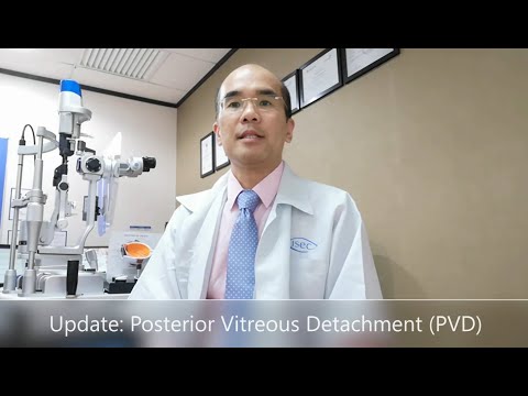 Dr. Ho Whye Onn on Posterior Vitreous Detachment (PVD)