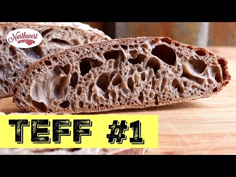 download lagu mp3 mp4 Teff Bread Recipe Yeast Free, download lagu Teff Bread Recipe Yeast Free gratis, unduh video klip Teff Bread Recipe Yeast Free