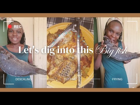 Let's make Crispy Fried Fish: Descaling| Cutting| Frying|Wet flour method| Village Girl Chronicles