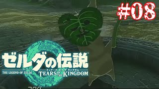 いぇははー！【ゼルダの伝説 ティアーズ オブ ザ キングダム】#08