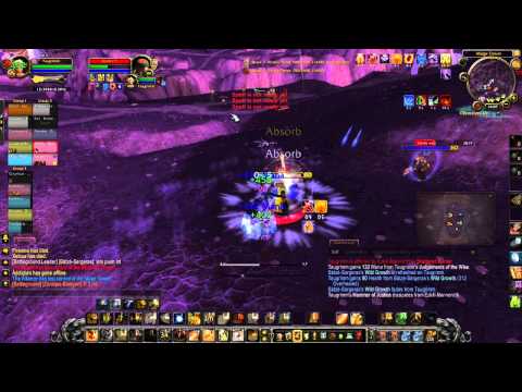 Taugrim's Protection Paladin 80 PVP: Patch 4.0.3a Changes in Action