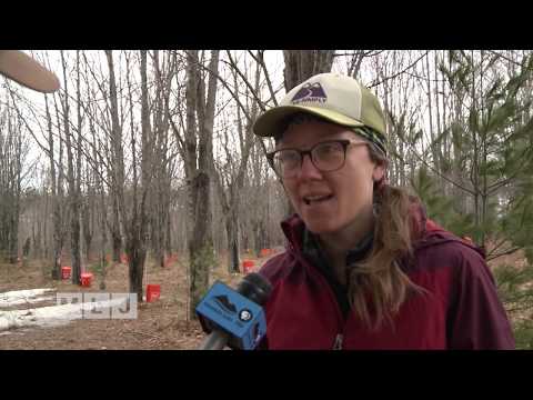 Maple Producer Moves to Lyon Mountain