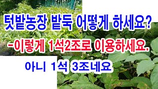 텃밭농장 밭둑 어떻게 하세요?(밭둑 사태방지, 밭둑 토사 방지, 밭둑을 이용한 산나물 재배, 밭둑 잡초 베지…