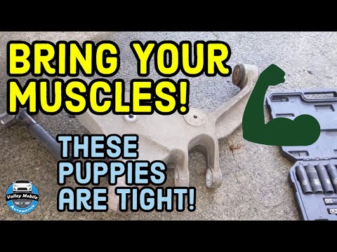 2003-2006 Ford Expedition Rear Lower Control Arm | How to Replace Rear Lower Control Arm Bushings