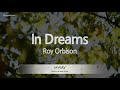 Roy Orbison-In Dreams (Karaoke Version)