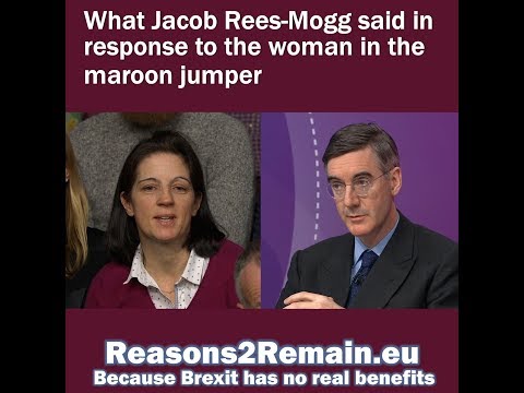 What Jacob Rees-Mogg said