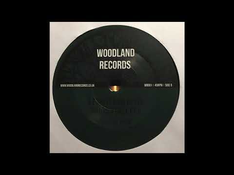 A Forest Bird Never Wants A Cage - Part 2 - Woodland Records - Concious Youth - WR001
