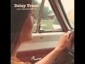 Delay Trees - Tarantula Holding On 