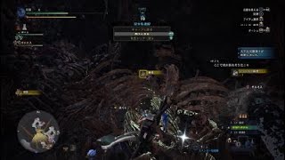 モンスターハンターワールド：アイスボーン_20200827190652