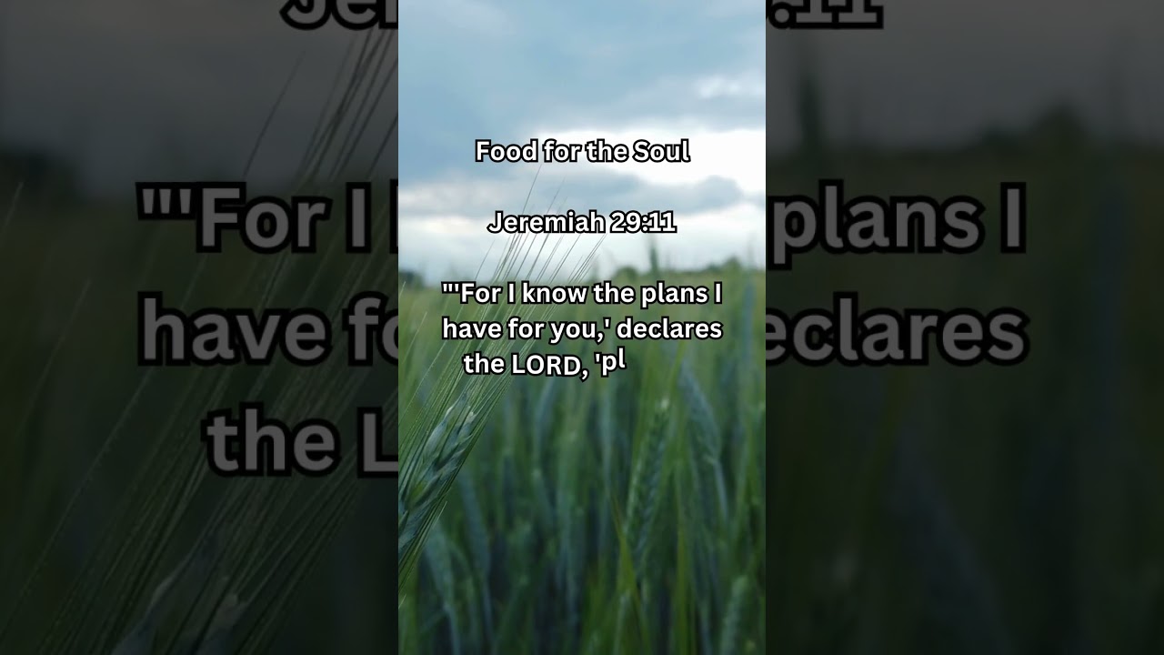 God’s Plans to Prosper You and Give You Hope for the Future!