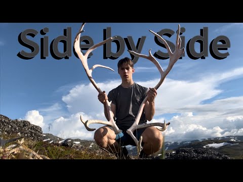 Shedhunting caribou| HUGE side-by-side set!!! | 2023