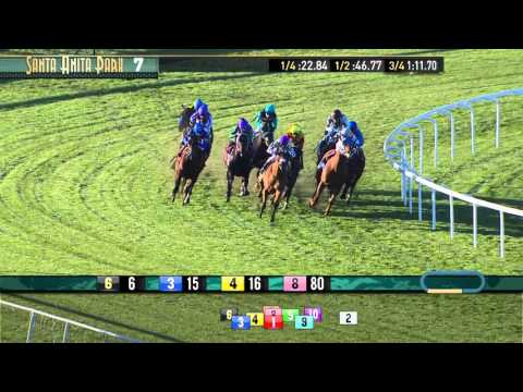 Eddie Logan Stakes (Listed) - Thursday, December 31 2015 HD