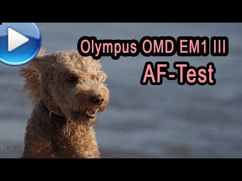 Autofokustest - Olympus OMD EM1 Mark 3