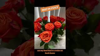 Rest in Peace, Mr. Margaritaville! #jimmybuffett #margaritaville song #popstar #bar #restaurant