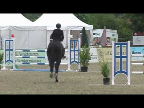 Now or Never x Calido  IV