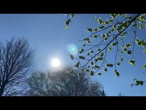 Niebüll- Luftkurort