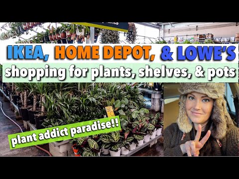 Ikea, Home Depot, & Lowe's Plant Shopping & Plant Haul - Big Box Plant Shopping
