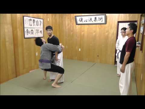 崩し いろいろ　　健心流柔術