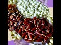 Debra S Natural Gourmet
