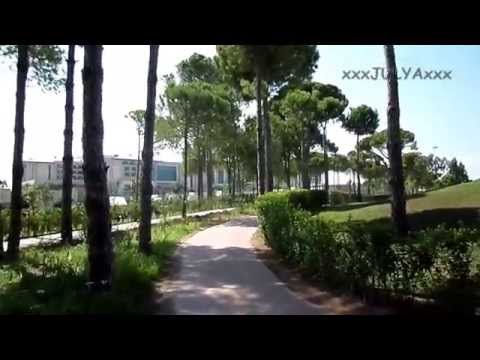 ⛳️ Regnum Carya Golf and SPA Resort - Golf course - Уроки гольфа 