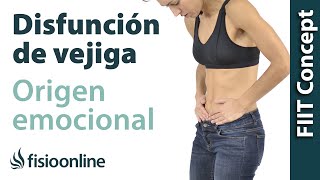 Origen emocional de la disfunción de vejiga.