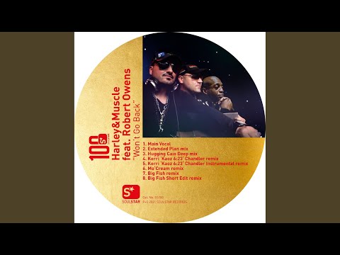 Won't Go Back (feat. Robert Owens) (Hugging Caio Deep Mix)