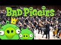 Bad Piggies Bad Piggies Fall 2022 Concert