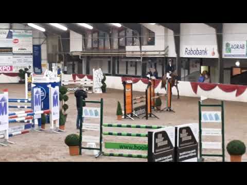 SOLD Icecreame v. Quasimodo van de Molendreef X Indorado