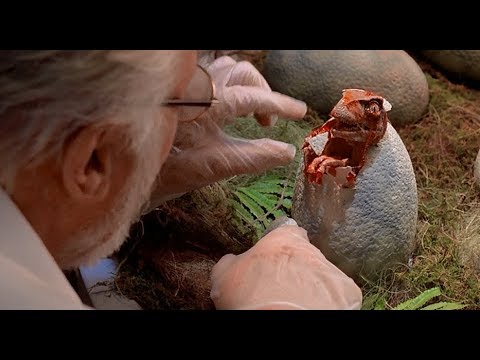 Irreler Platt lernen mit Filmklassikern - Heute: "Dinosaurierpark Teufelsschlucht"