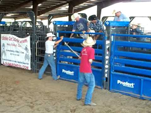 Chad Scott - Brady Sims Brown White Bull.MOV