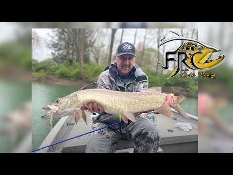 Curtis Vs The WV Musky