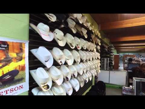 download lagu mp3 mp4 El Vaquero Elegante Chihuahua, download lagu El Vaquero Elegante Chihuahua gratis, unduh video klip El Vaquero Elegante Chihuahua