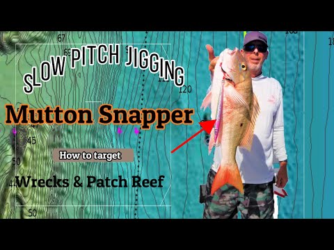 Slow Pitch Jigging | Mutton Snapper | How To Target Wrecks and Patch Reef | Offshore Fishing