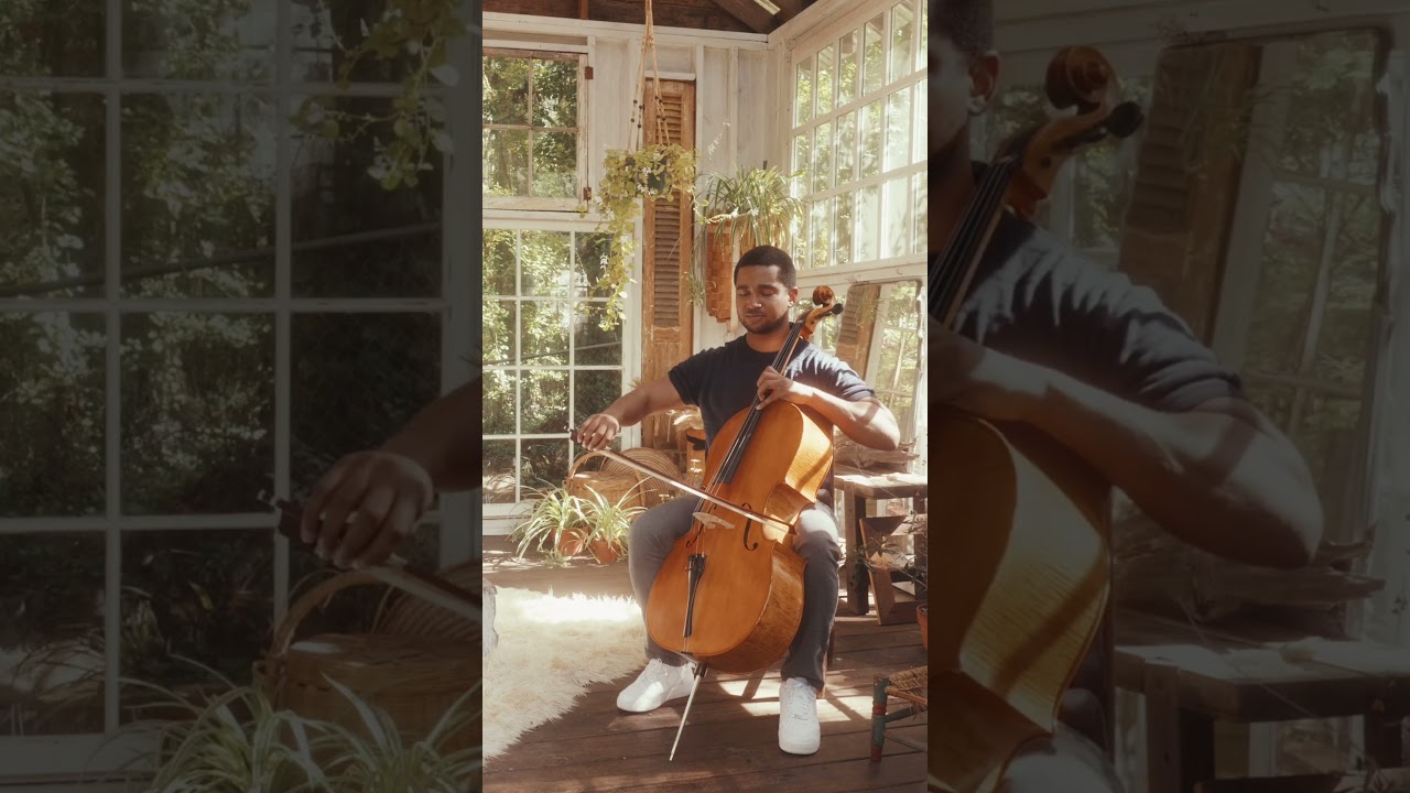 Promotional video thumbnail 2 for NoJo Cello