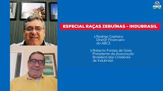 Miniatura do vídeo