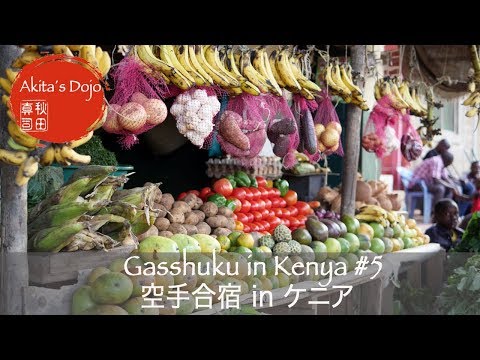 #5 Karate Gasshuku in Kenya　ケニア空手合宿　五感で感じる…【Akita's Karate Video】