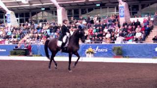 Video koně Antonello