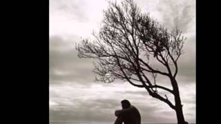 Lonesome Homesick Blues - Metalbilly Trucker