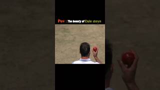 Download lagu Pov : The beauty of Dale Steyn ✨🤌! mp3