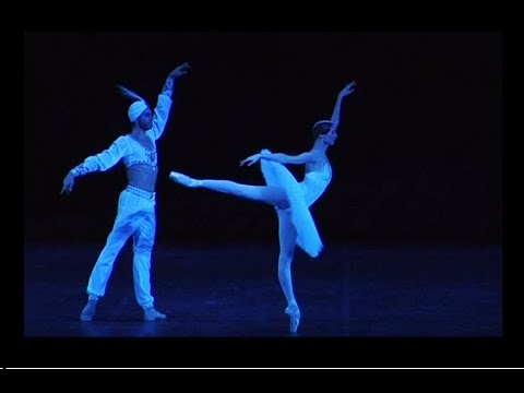 Zakharova Tsiskaridze Osipova Krysanova Nikulina - Bayadere Act 3 Excerpts