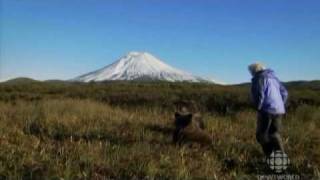 The Edge of Eden - Living with the grizzlies.avi