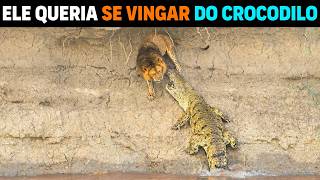 🚨 Crocodilo DEVOROU os filhotes do leão e ele VOLTOU PARA SE VINGAR
