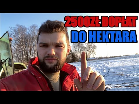 ZMIANY W EKOSCHEMATACH W 2025