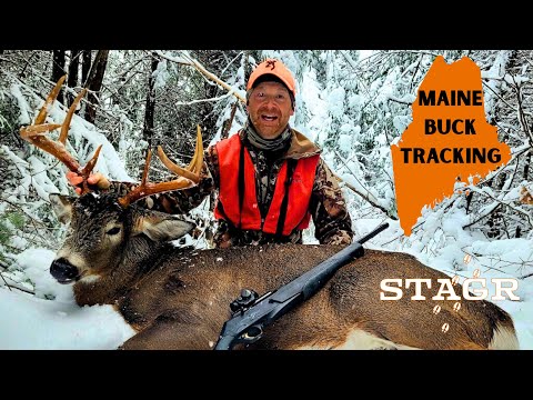 Maine Buck Tracked Down At Close Range | Maine Mountain Buck Tracking | STAGR