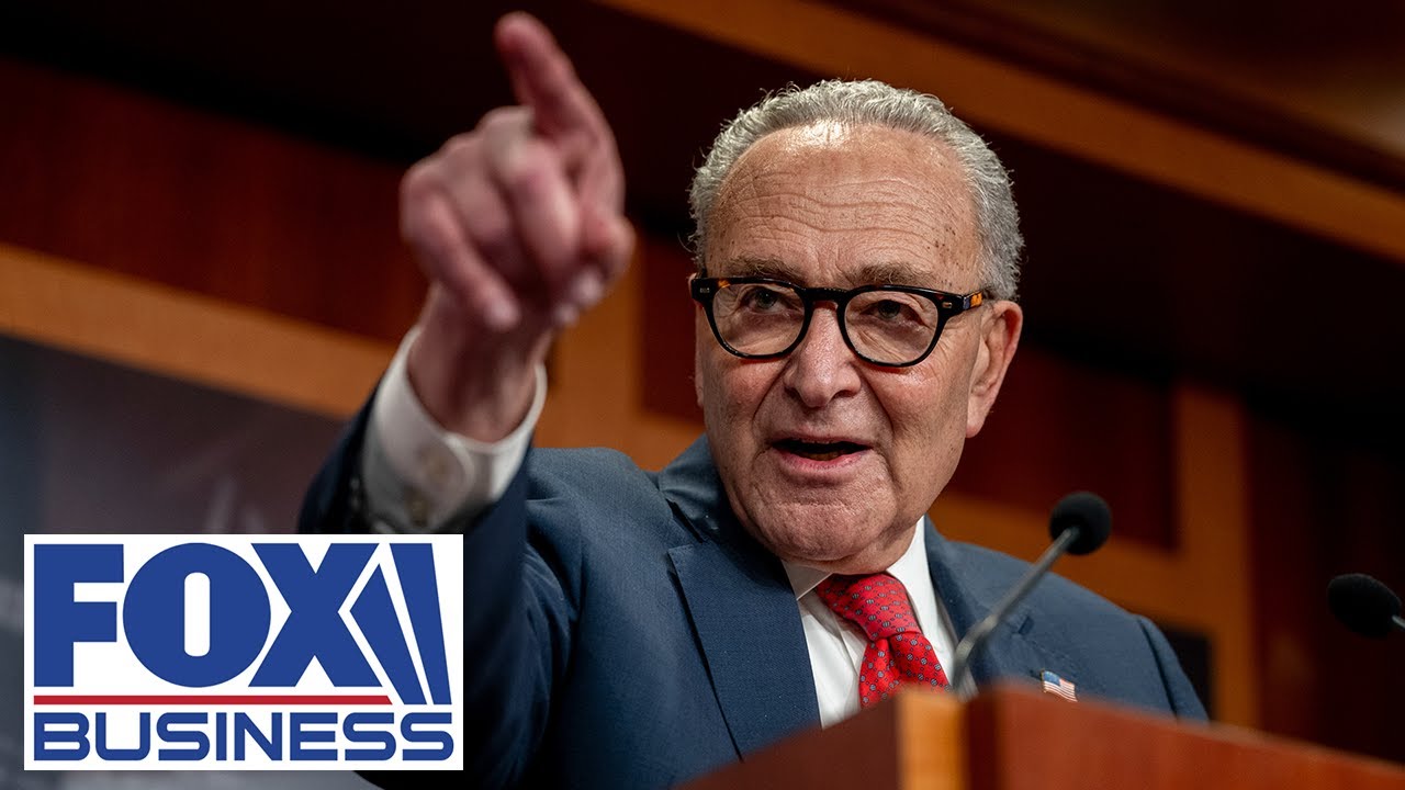 ‘CAPTURED’: GOP rep EXPOSES Schumer’s grip by the radical left