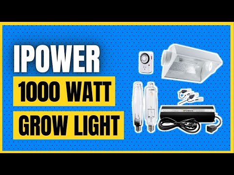 iPower 1000 Watt HPS MH Digital Dimmable Grow Light System