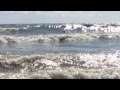 "Surf City" ~ Jan & Dean 
