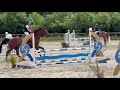 Vends cheval CSO 5 ans